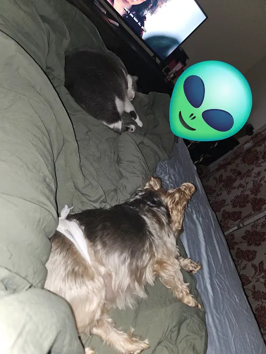 Banfield Pet Hospital Picture 1