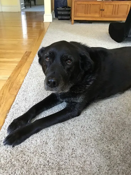 Banfield Pet Hospital Picture 2