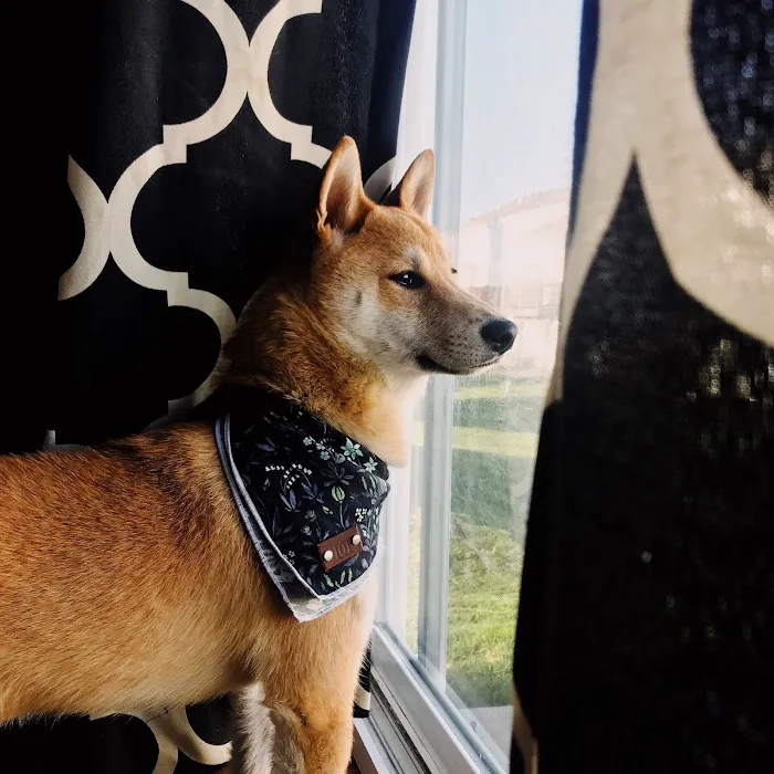 Banfield Pet Hospital Picture 5