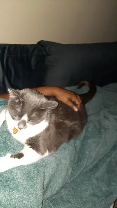 Banfield Pet Hospital Picture 3