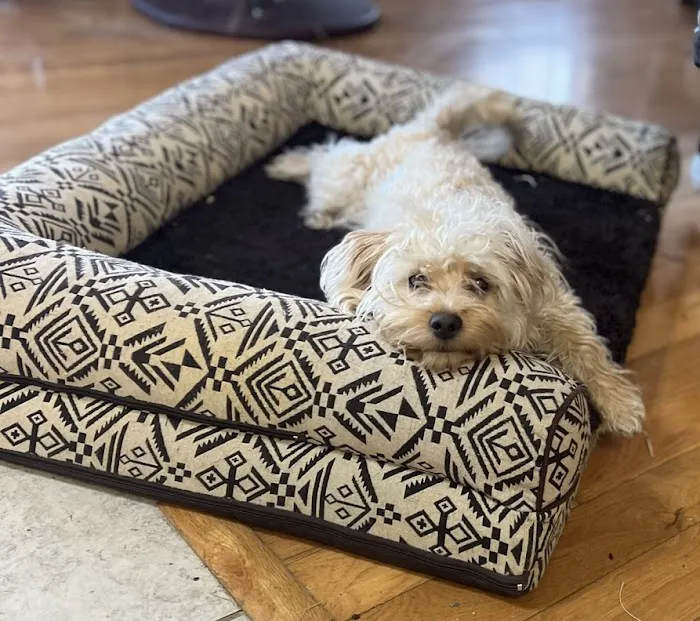 Shoal Creek Animal Hospital Picture 2