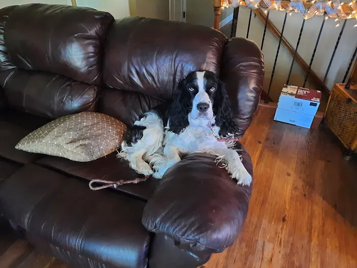 Shoal Creek Animal Hospital Picture 6