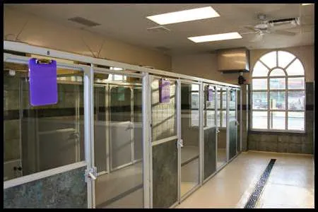 Shoal Creek Animal Hospital Picture 8