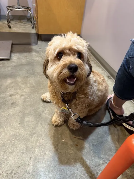 Oak Grove Animal Clinic Picture 1