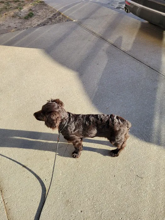 Oak Grove Animal Clinic Picture 5