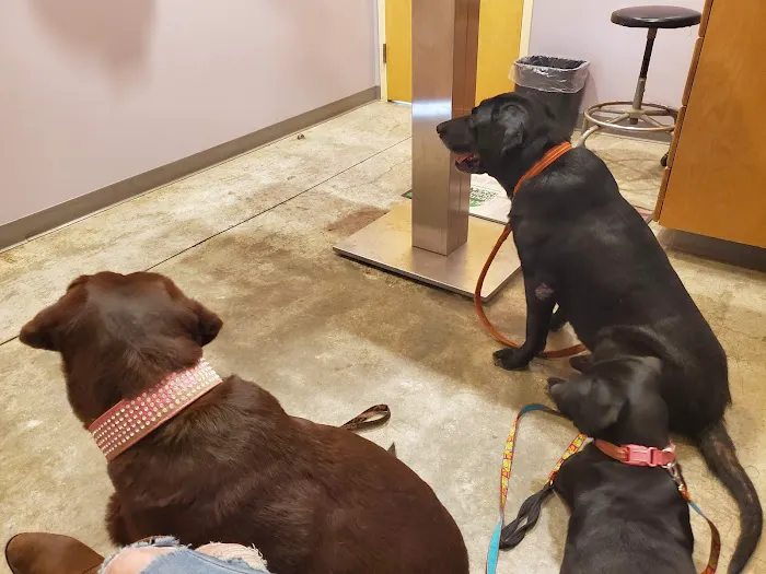 Oak Grove Animal Clinic Picture 3