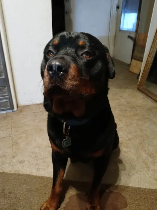 Oak Grove Animal Clinic Picture 7