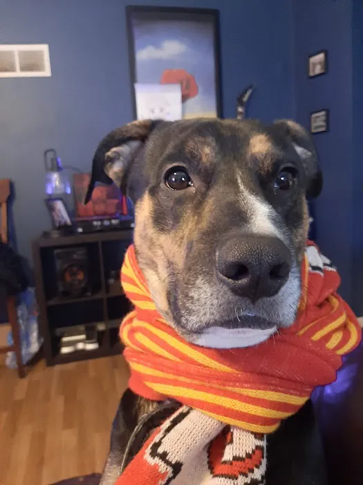 Oak Grove Animal Clinic Picture 9