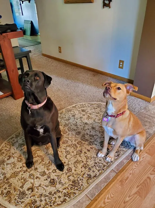 Oak Grove Animal Clinic Picture 8