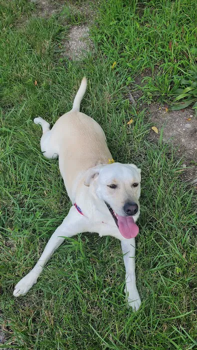 Oak Grove Animal Clinic Picture 6