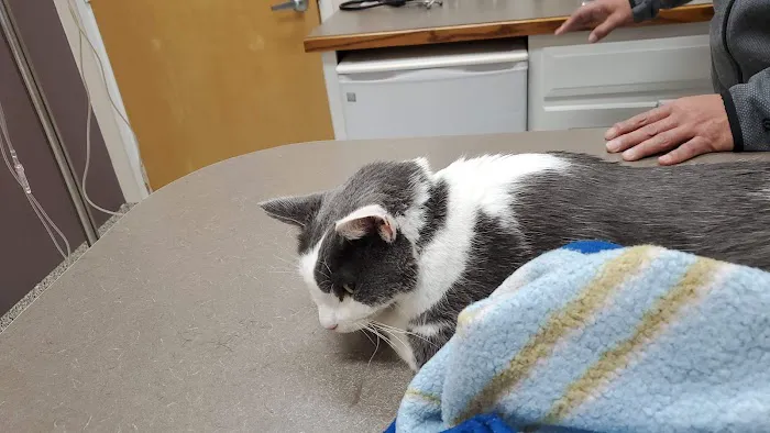 Espey Rob S DVM Picture 1