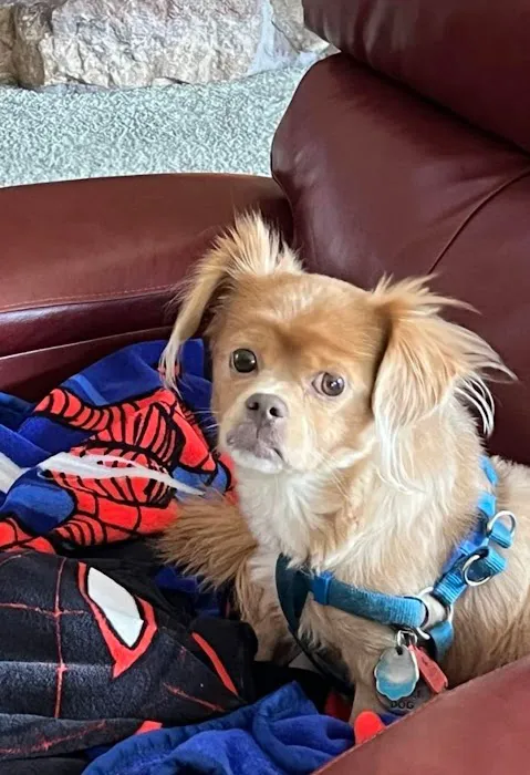 Crain Veterinary Center Picture 3