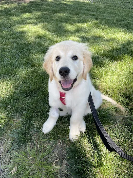 Crain Veterinary Center Picture 6