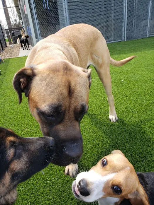 Crain Veterinary Center Picture 10