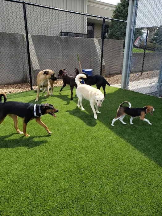 Crain Veterinary Center Picture 8