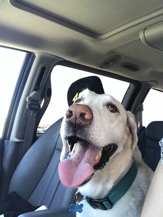 Crain Veterinary Center Picture 7