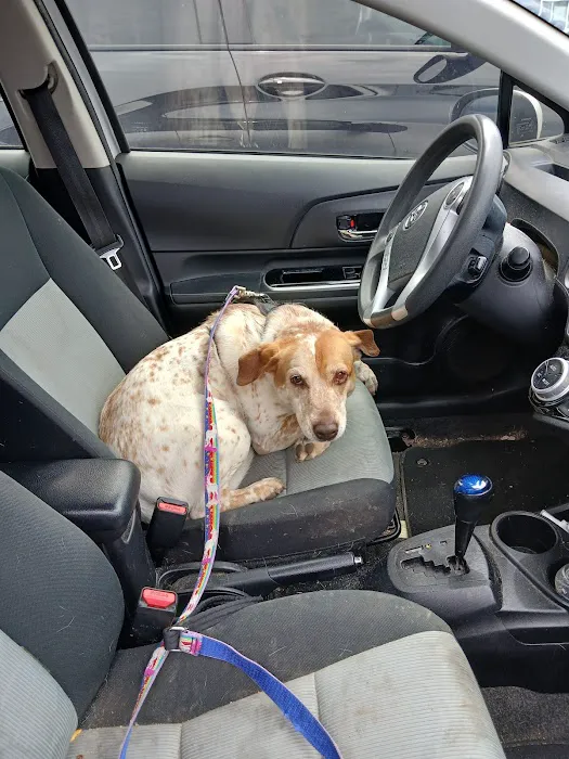 Vetco Total Care Animal Hospital Picture 4