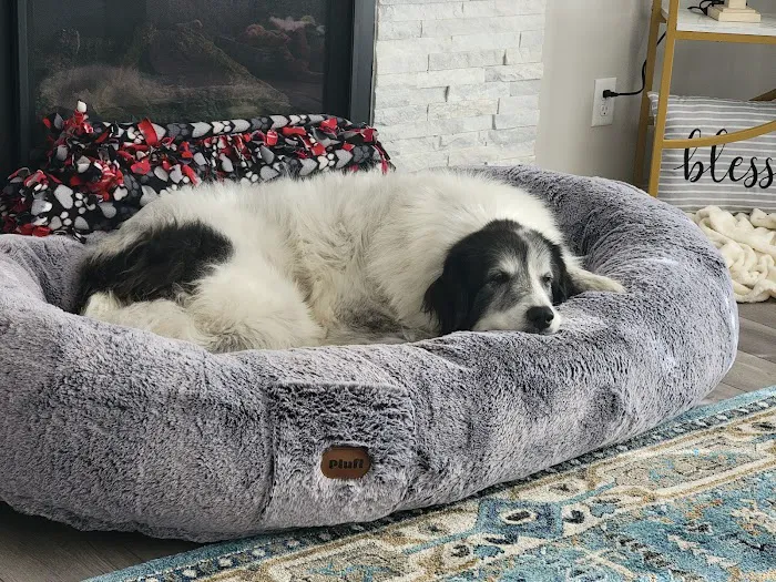 AniMed Animal Hospital Picture 2