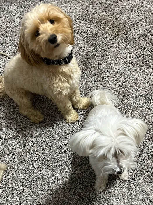 AniMed Animal Hospital Picture 9