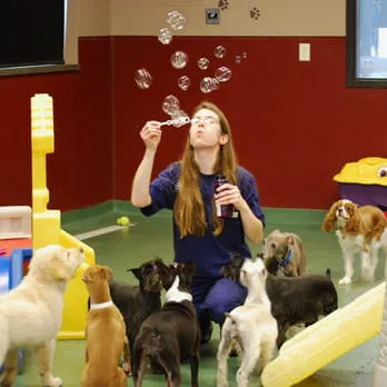 Blue Springs Animal Hospital Picture 2