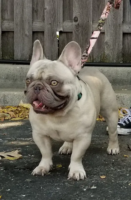 Blue Springs Animal Hospital Picture 6