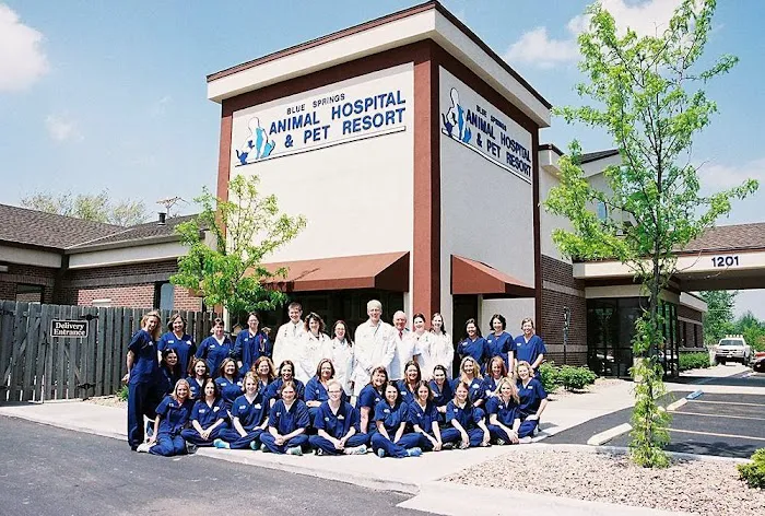 Blue Springs Animal Hospital Picture 4