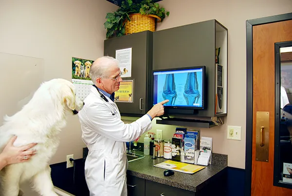 Blue Springs Animal Hospital Picture 9