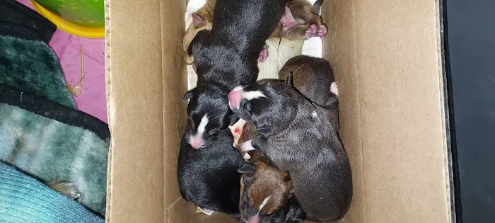 Tipton Veterinary Clinic Picture 2