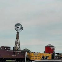 Tipton Veterinary Clinic ico