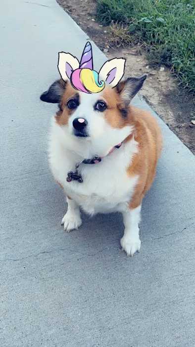 California Veterinary Clinic Picture 1