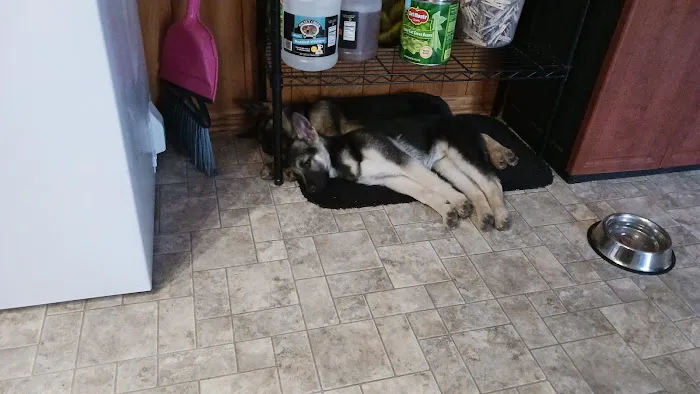 California Veterinary Clinic Picture 3