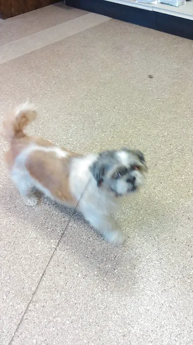 California Veterinary Clinic Picture 4