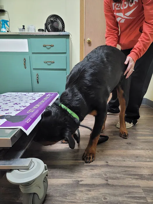 Versailles Veterinary Clinic Picture 2