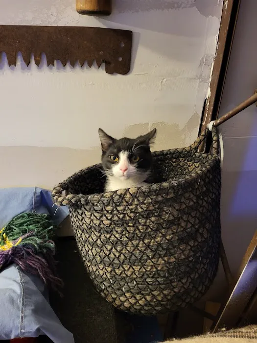 Versailles Veterinary Clinic Picture 1