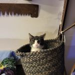 Versailles Veterinary Clinic