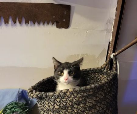 Versailles Veterinary Clinic