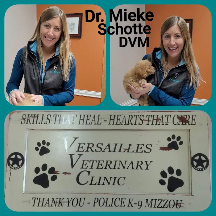 Versailles Veterinary Clinic Picture 6