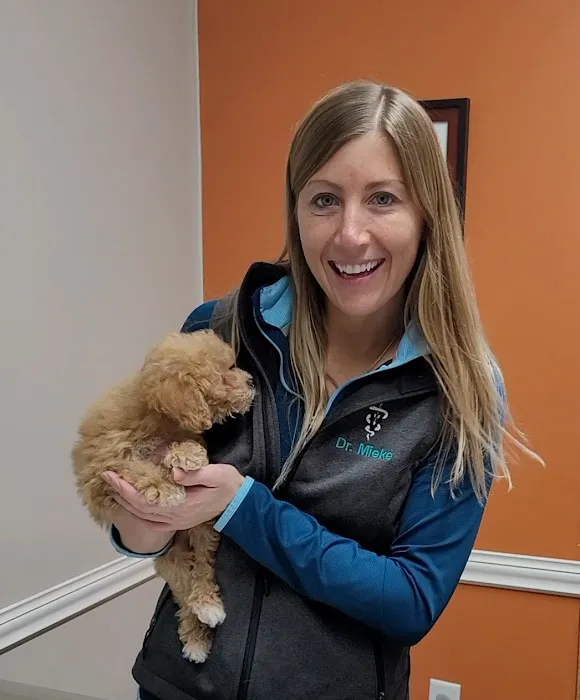 Versailles Veterinary Clinic Picture 5