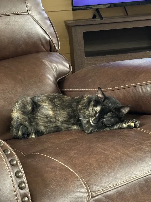 Versailles Veterinary Clinic Picture 3