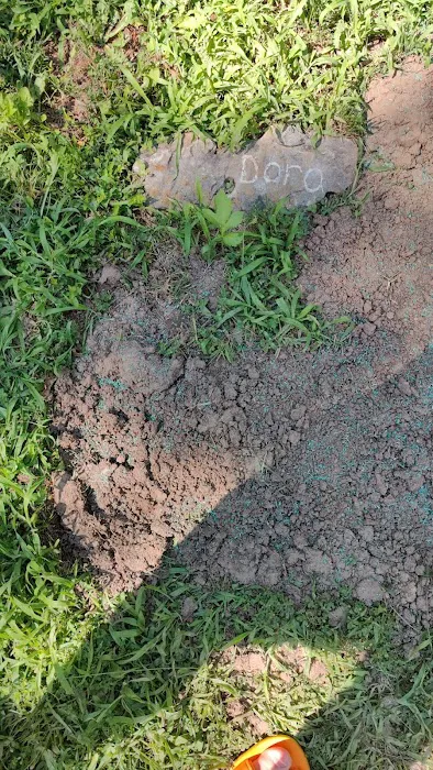 Versailles Veterinary Clinic Picture 10