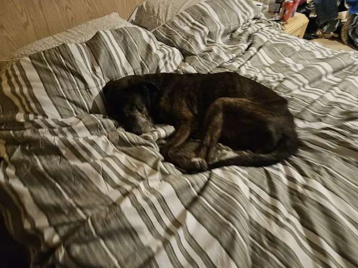 Versailles Veterinary Clinic Picture 7