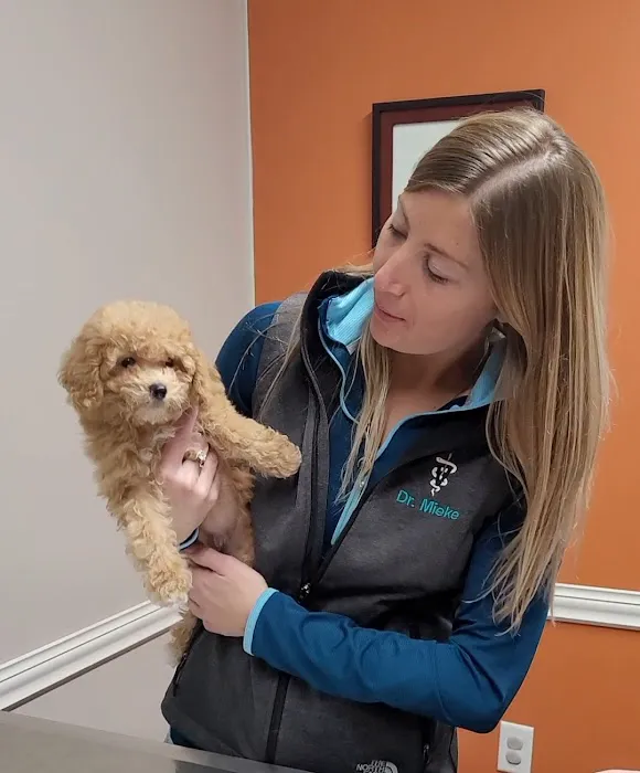 Versailles Veterinary Clinic Picture 8