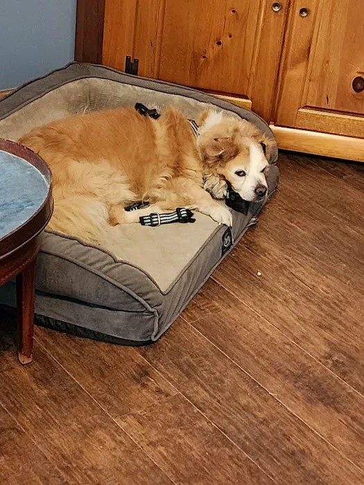 Sullivan Veterinary Hospital Picture 1