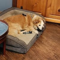 Sullivan Veterinary Hospital ico