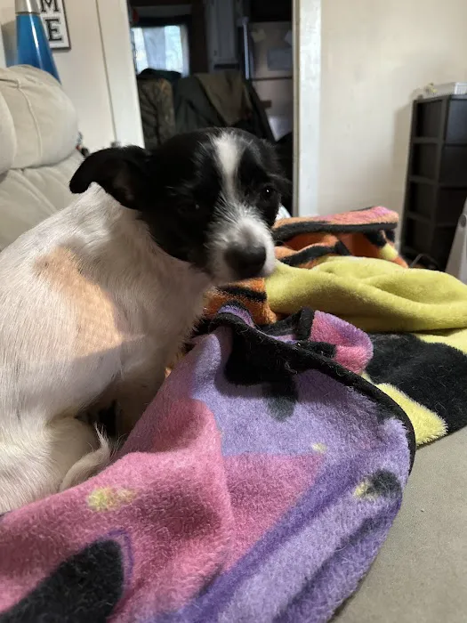 Sullivan Veterinary Hospital Picture 4