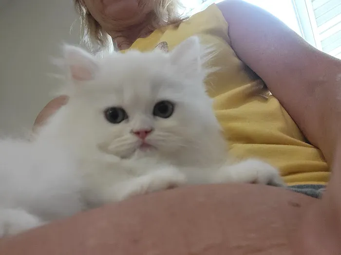 Sullivan Veterinary Hospital Picture 2