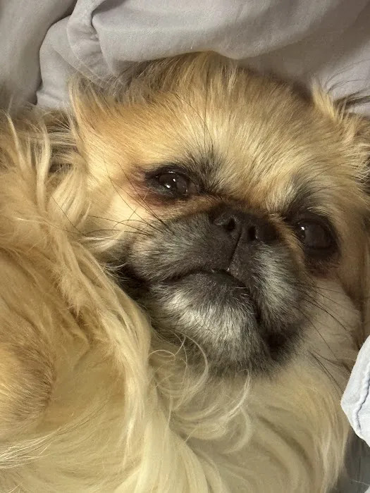 Sullivan Veterinary Hospital Picture 3