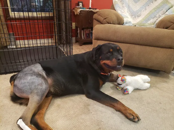 Sullivan Veterinary Hospital Picture 7