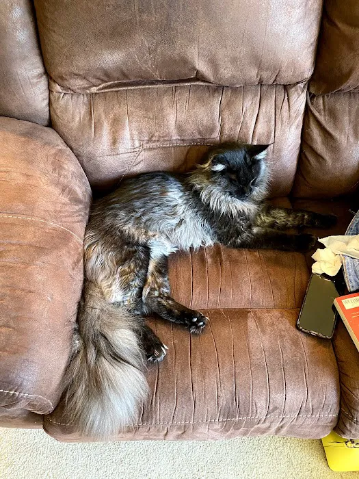 Mavelous Maines Picture 9