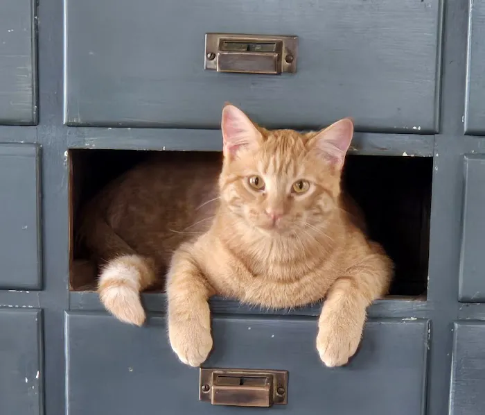 Bear Creek Veterinary Clinic LLC Picture 3